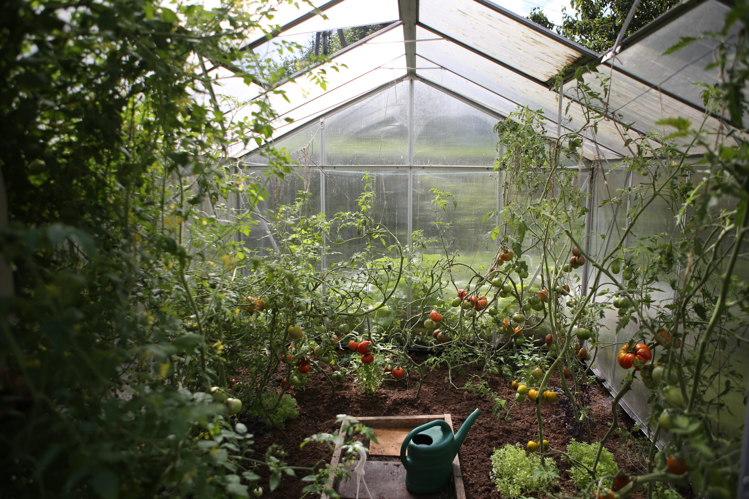 Cómo hacer un jardín sostenible en casa para el Día de la Tierra